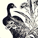 Multiple Artists Gallery